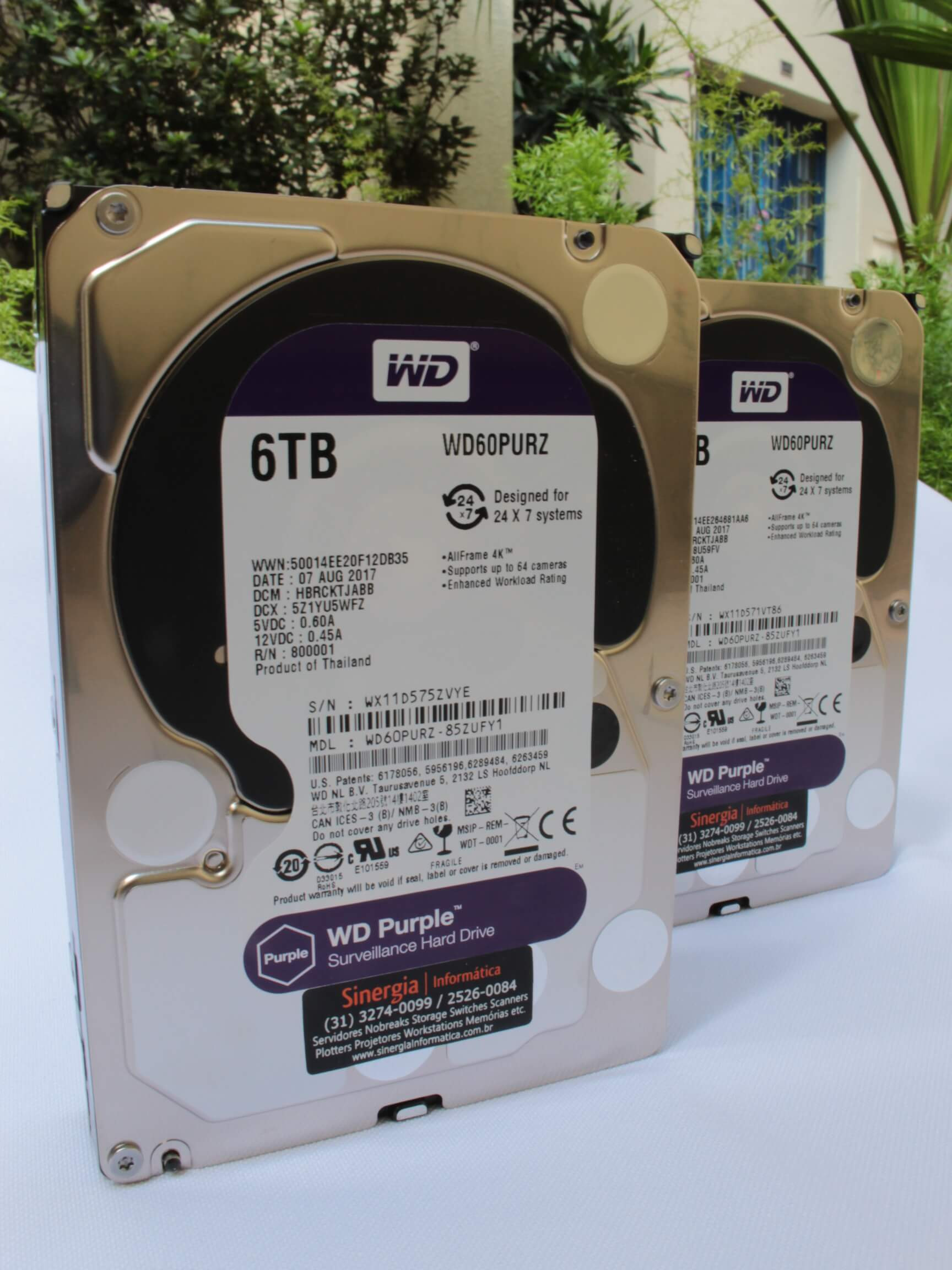WD60PURZ | HD Western Digital 6TB SATA-3 6 Gbs 5.4K RPM LFF 3,5" Purple ...