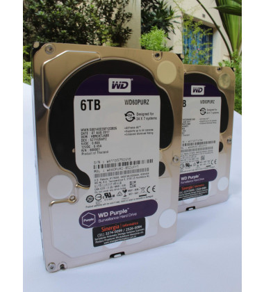 WD60PURZ HD Western Digital 6TB SATA-3 6 Gbs 5.4K RPM LFF 3,5
