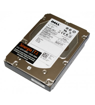 HD Dell 300GB SAS 15K RPM 3,5