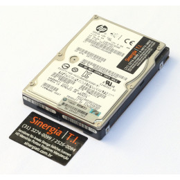 HD 300GB 10K RPM SAS 6Gbps 2.5