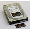 ST3000NM0053 HD Seagate 3TB SATA 6 Gbps 7.2K RPM LFF 3,5" 128MB para Servidor e Storage envio imediato